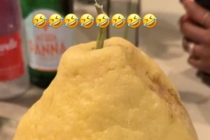 略显惊讶！詹姆斯晒旅行途中遇到巨型柠檬：什么鬼？！配图